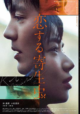 山海食肆 国创动画海报